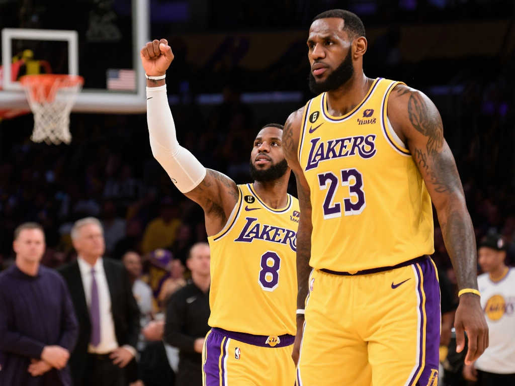 伯乐之眼 伯乐之眼