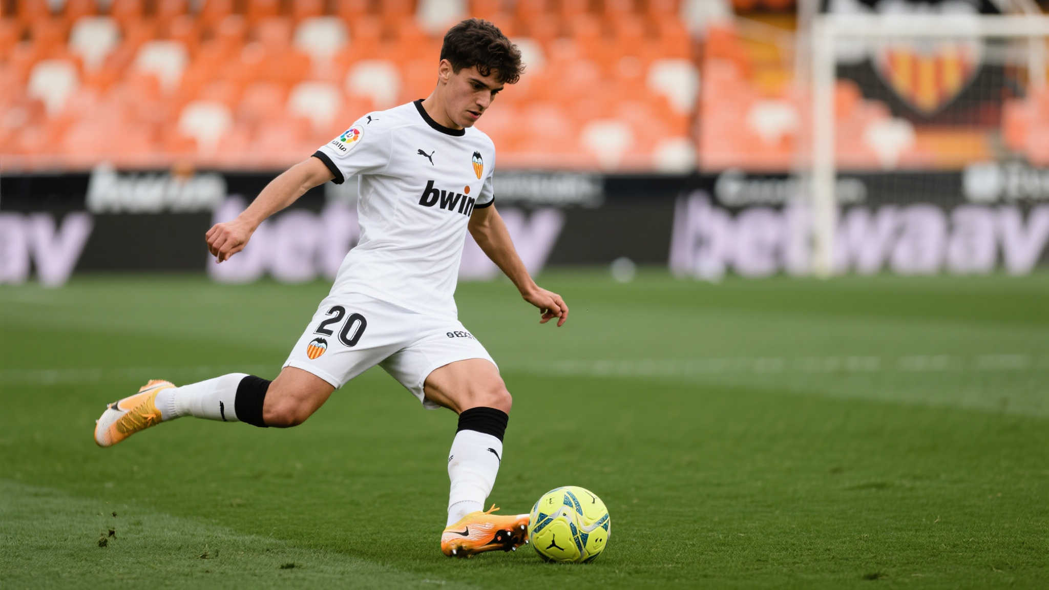 豪门对这位 豪门对这位