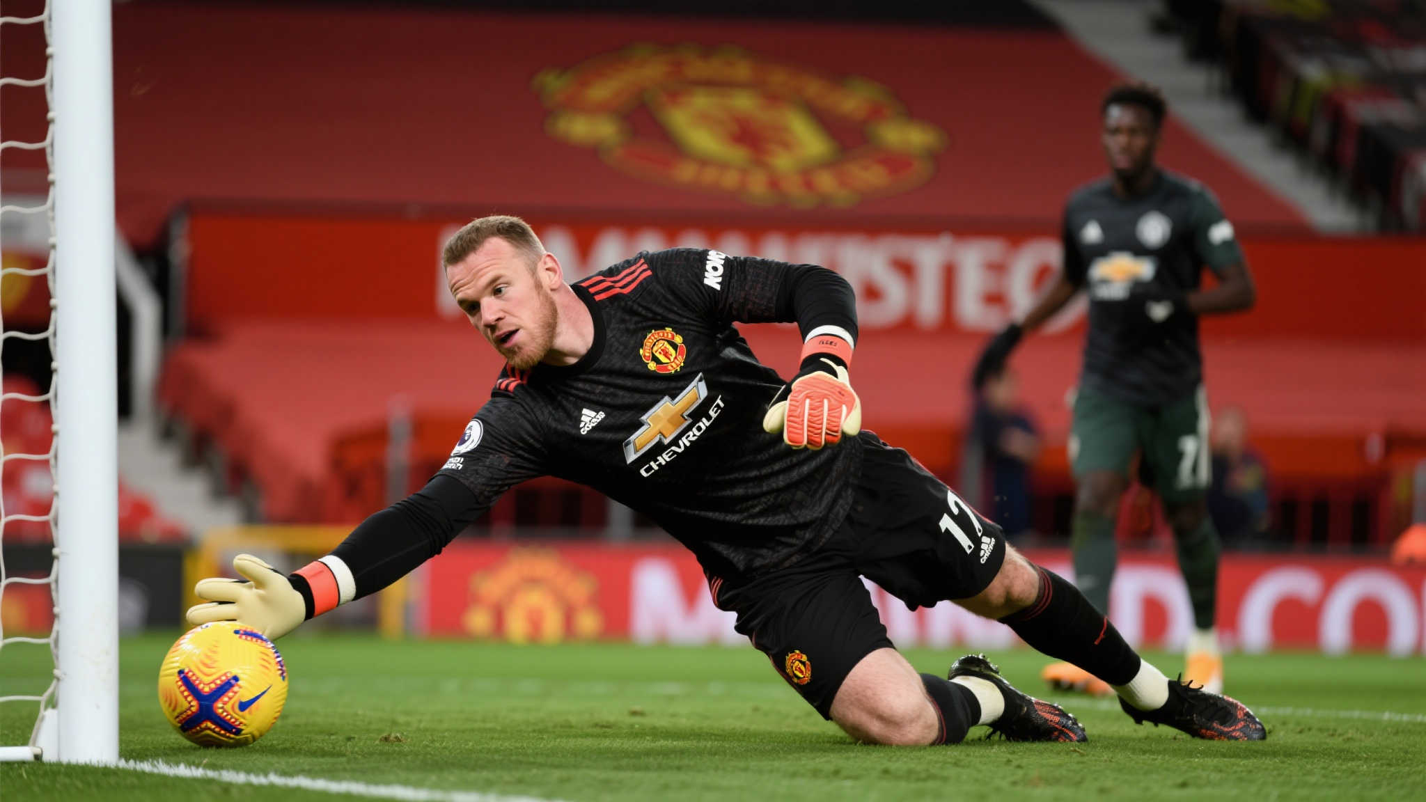 他职业生涯 他职业生涯