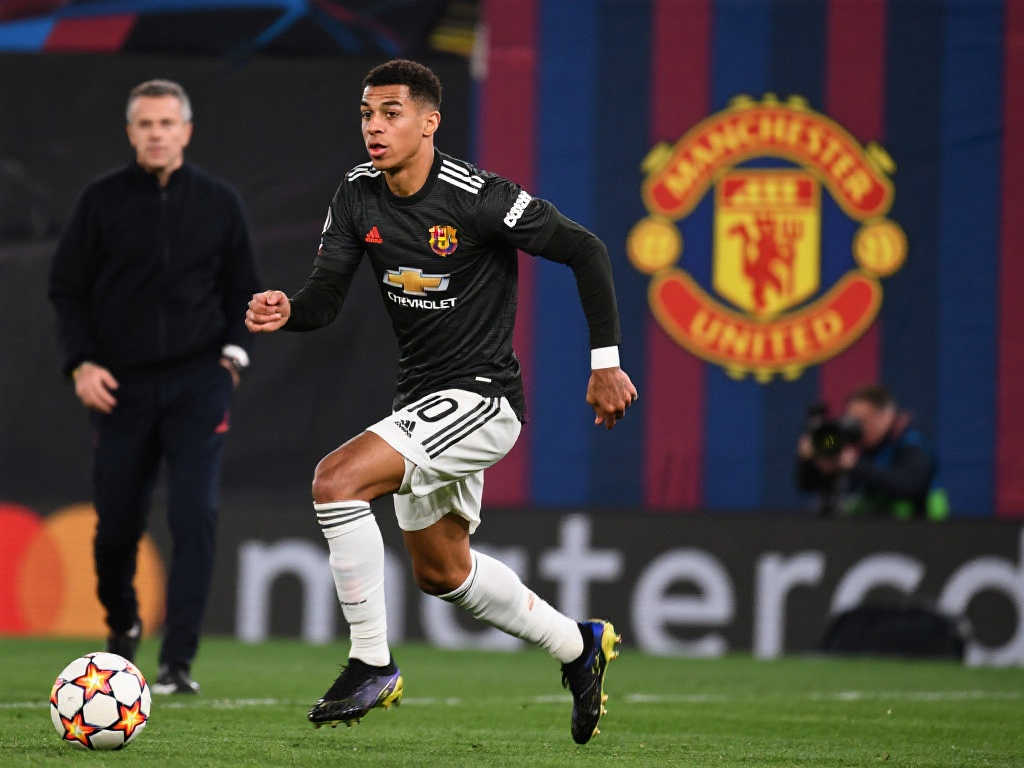 统化和专业 统化和专业